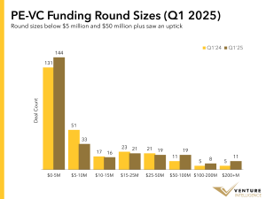 India PE-VC Investments Roundup – Q1’2025